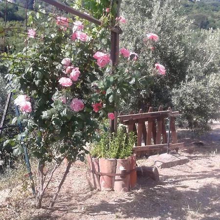 Apart Otel Villaggio Dei Balocchi 4*